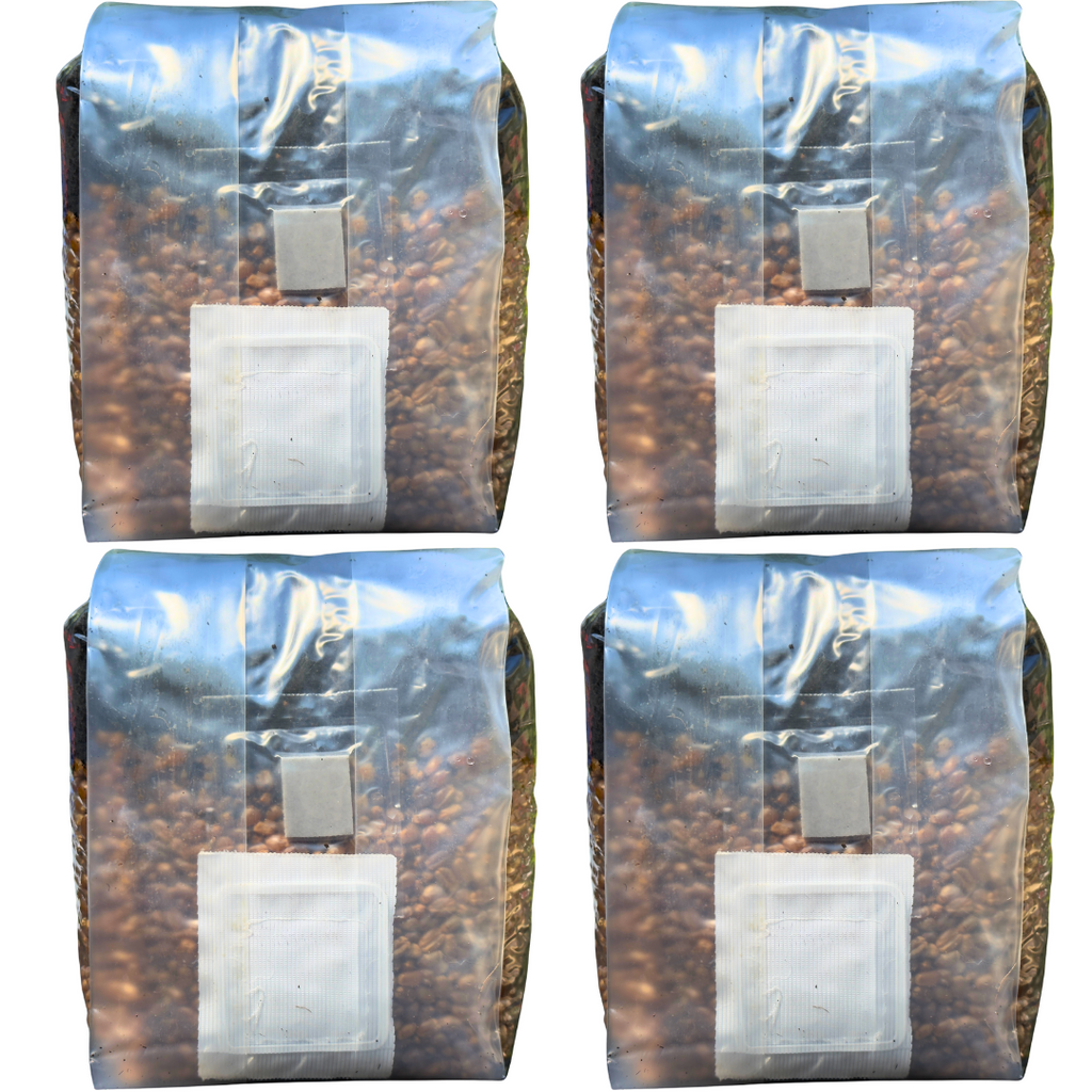 Mushroom Grow Kit - 4 Pack - All In One Mushroom Grow Bags