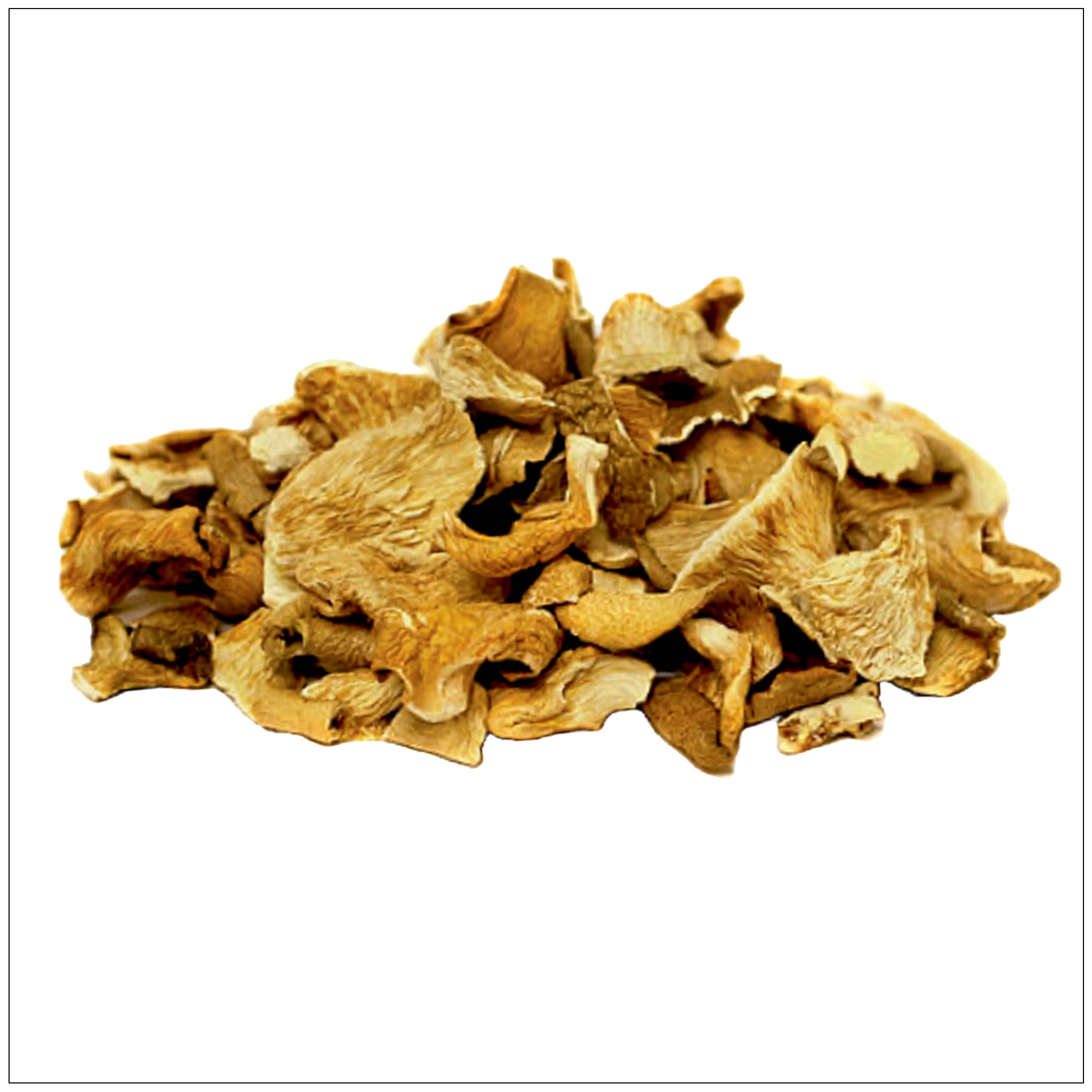 Oyster Mushroom Dried Whole
